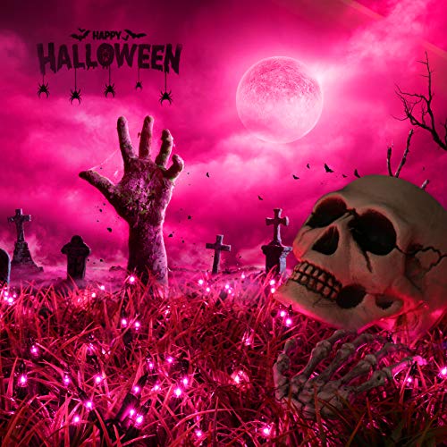 Purple Halloween Lights (21.3 Foot)