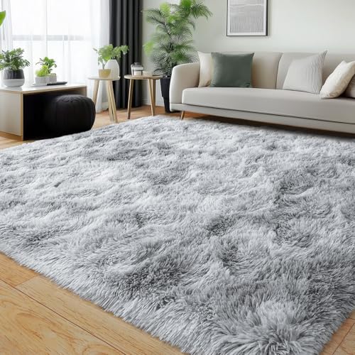Rugs for Living Room (24 Sq Ft)