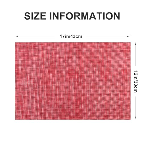 Vinyl Placemats Set of 6 (4 Count)