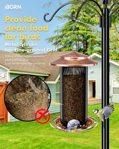 Bird Feeders for Outdoors