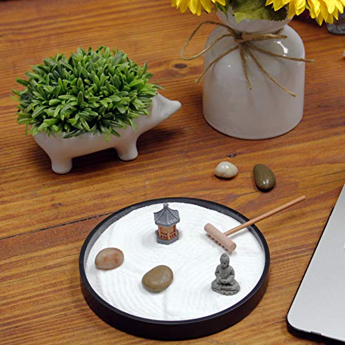 Mini Zen Garden Kit for Desk with Rake