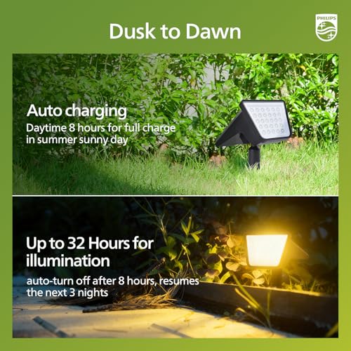 ODS TianZi Path 30K 6PK US (6 Count)