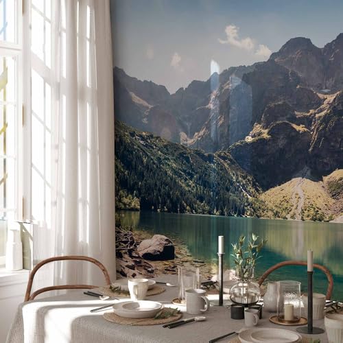 Peel and Stick Wall Mural Peel and Stick Landscape 212x98 Inch (11 Count)