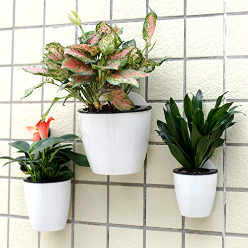 3 Pack Self Watering Wall Hanging Planter Pots Vertical Garden Window Hang Mount Indoor Outdoor Plant Flower Basket for Kitchen Herbs Balcony Railing Shelf Fence Bedroom Trellis Decor Modern White Box (3 Count)