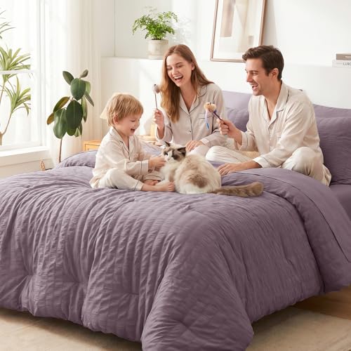 Queen Comforter Set