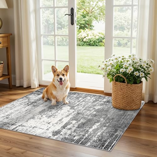 Washable 2x3 Entryway Area Rugs (6 Sq Ft)
