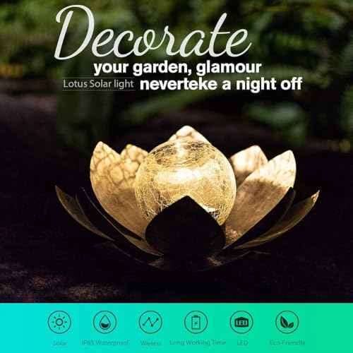 Garden Solar Light Outdoor (2 Count)