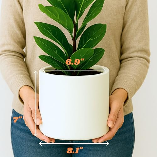 Large Planter for Indoor or Outdoor
