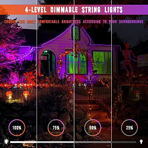 2 Pack Solar String Lights Outdoor Waterproof (66 Foot)