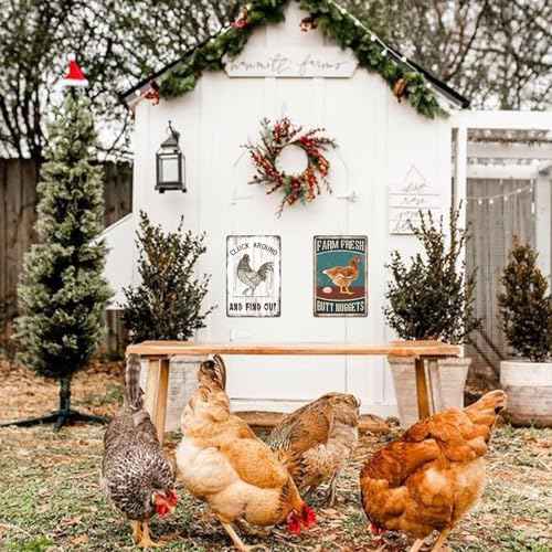 Chicken Coop Metal Signs for Outdoor