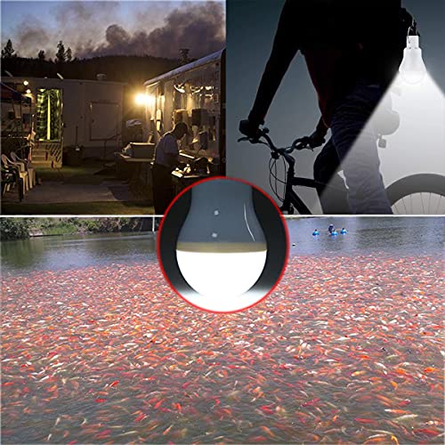 Solar Bulb Light 350LM Solar Powered Portable Camping Light Led Lantern Outdoor Lamp Hiking Fishing Tent Indoor Shed Chicken Coop Hurricane Emergency Chargeable (2 Count)