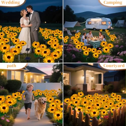 Outdoor Solar Garden Stake Lights