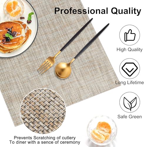 Vinyl Placemats Set of 4 (4 Count)