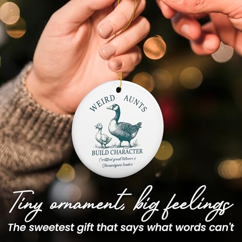Aunt Christmas Funny Gifts for Women