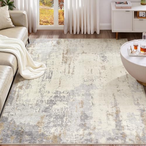5x7 Area Rug Living Room Rugs