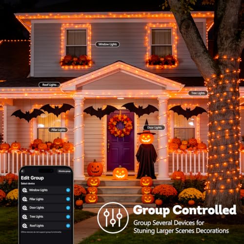 Color Changing String Lights for Halloween (66 Foot)