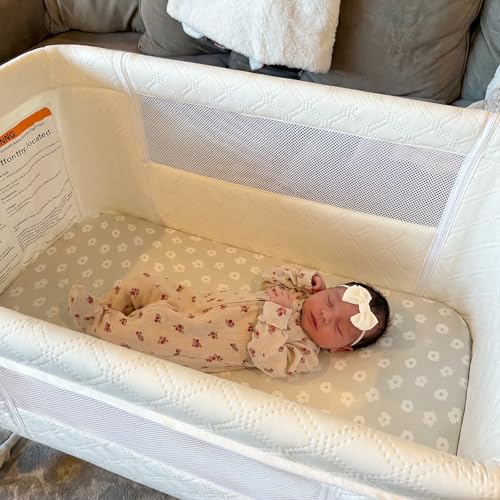 Cuddly Bassinet Bedside Sleeper