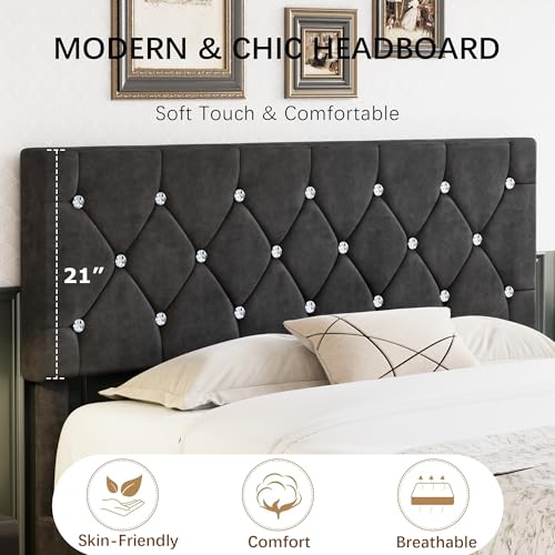 Queen Size Bed Frame