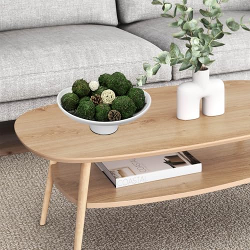 Elegant Ceramic Bowl with Moss Ball Set