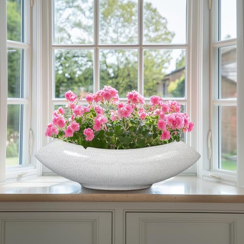 Ceramic Bonsai Tree Pot