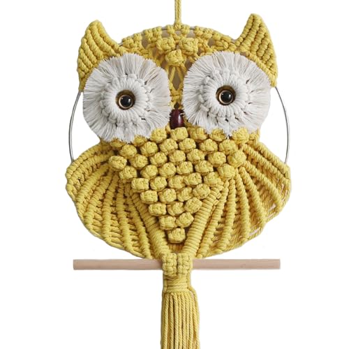 Owl Macrame Wall Hanging