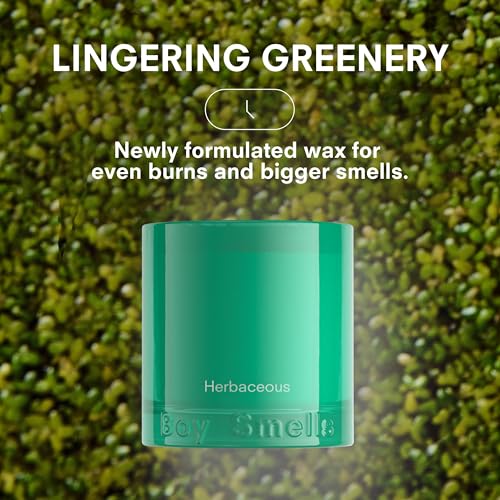 Grass Scented Candle (8.5 Ounce)