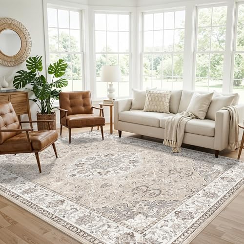 7x10 Area Rug for Living Room (70 Sq Ft)