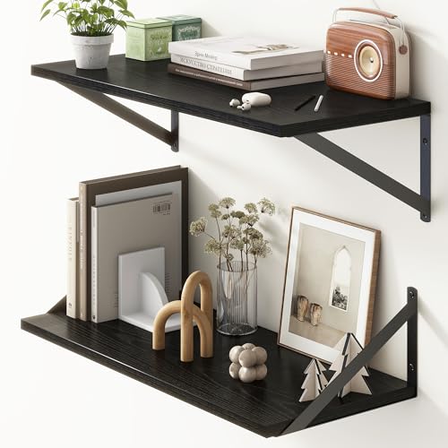 Deep Black Floating Shelves for Wall (2 Count)