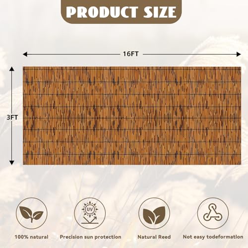 Bamboo Reed Fencing (48 sq ft sq ft)