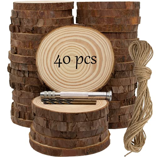 Natural Wood Slices for Crafts (40 Count)