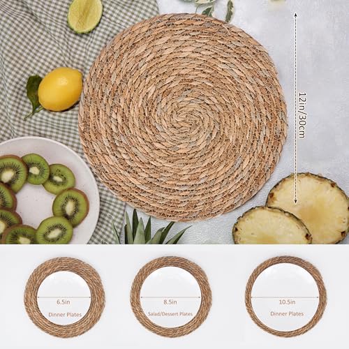 Defined Deco Woven Placemats Set of 10 (10 Count)