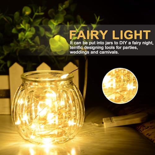 LEDs Fairy Lights (10 Foot)