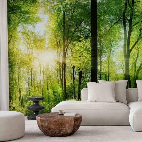 Wall Mural Wallpaper