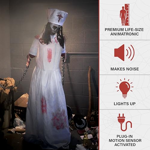 Life Size 5.2
