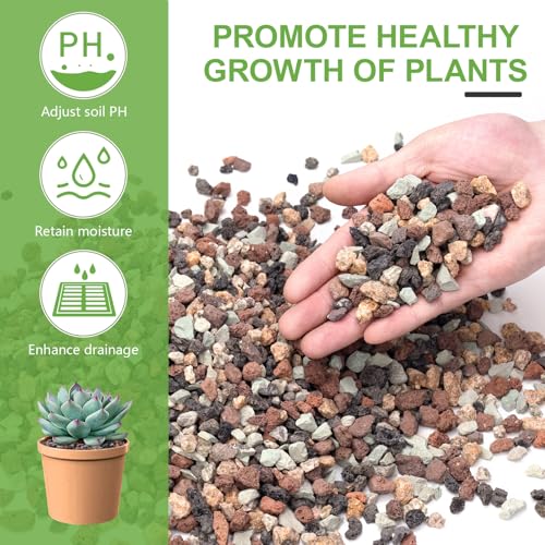 2.5lbs Mix Horticultural Lava Rocks for Plants