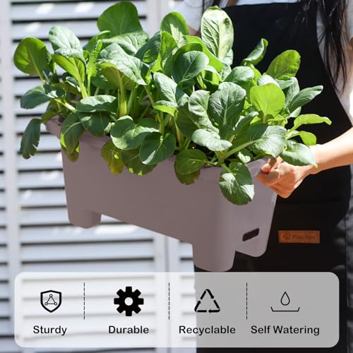 Self Watering Rectangle Planter Boxes 8 (8 Count)
