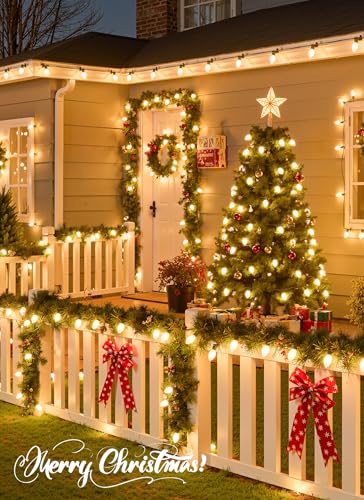 25Ft Christmas Lights Outdoor (25 Count)