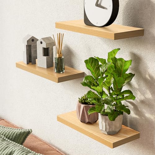 Floating Shelves for Wall