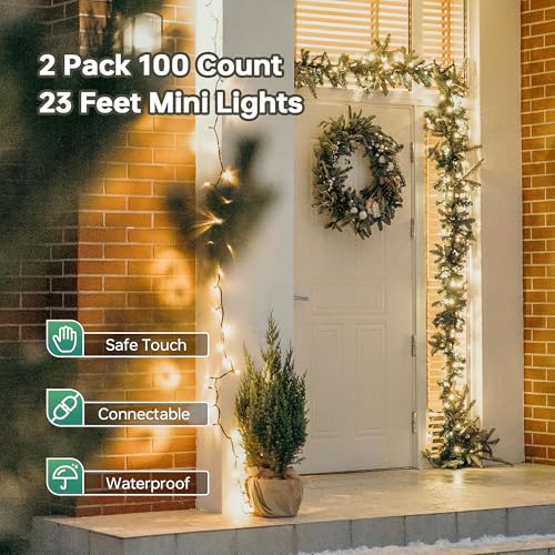 100 Christmas Lights (100 Count)