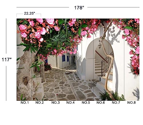 Traditional Backalleys of Amorgos Greece wall Mural Wallpaper for Bedroom 178" x 117"