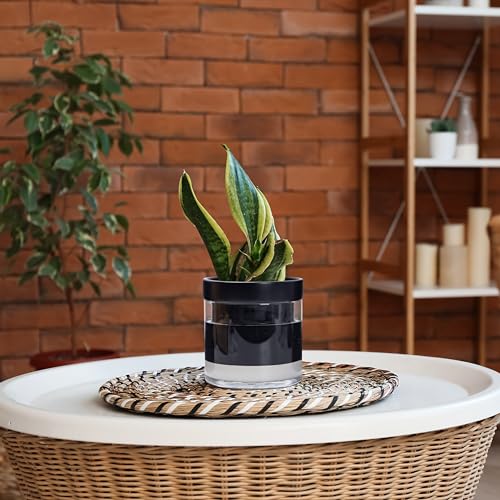 6 Inch Self Watering Terracotta Planter