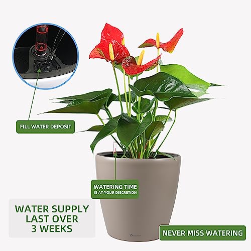 18x17 Self Watering Planter with Wheels