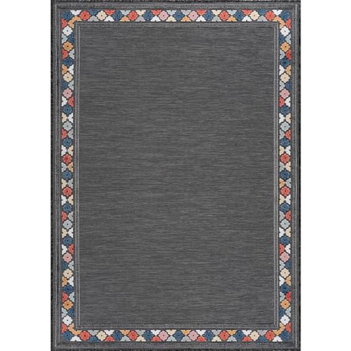 Outdoor Rug 4x6 Modern Bordered Area Rugs for Indoor and Outdoor Patio Easy to Clean Non Shedding Living Room Porch Garden Washable Outside Carpet