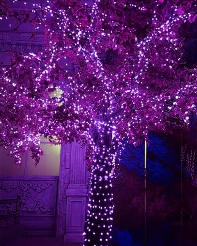 2 Pack Outdoor Solar String Lights (78.8 Foot)