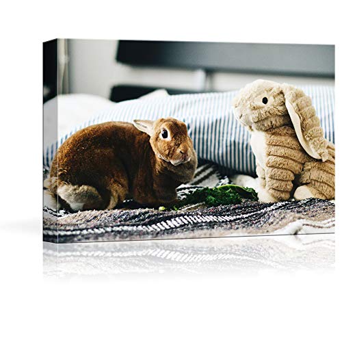 Custom Canvas Prints with Your Photos for Pet