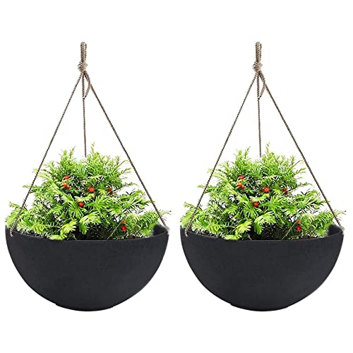 Large Hanging Planters for Outdoor Plants (2 Count)