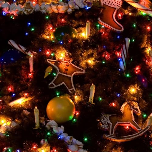 4 Pack Solar String Lights Outdoor (4 Count)