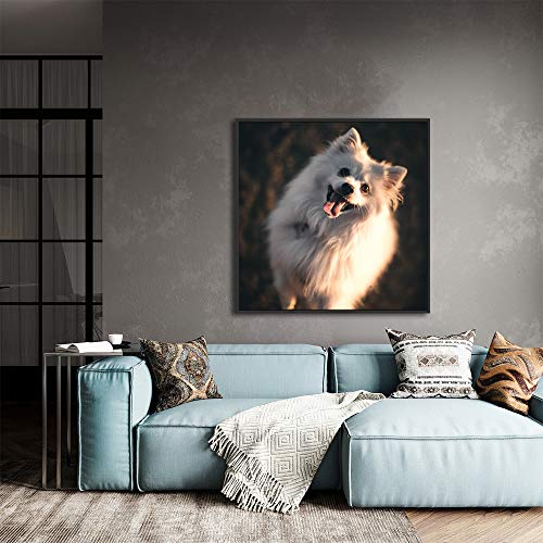 Custom Framed Canvas Prints with Your Photo for Pets
