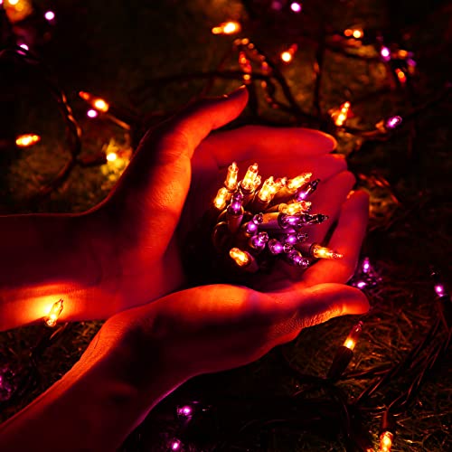 Orange & Purple Halloween Lights (75 Foot)