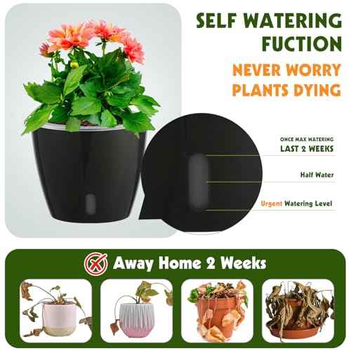 Self Watering Pots for Indoor Plants (8 Count)